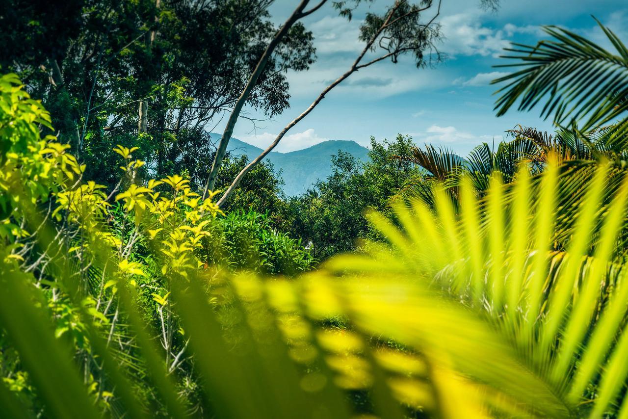 Bella Vista Bellingen Bed & Breakfast Exterior photo